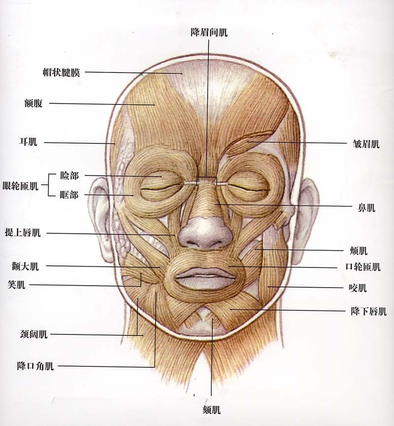 北京畫(huà)室前十名