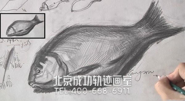 魚素描畫教程