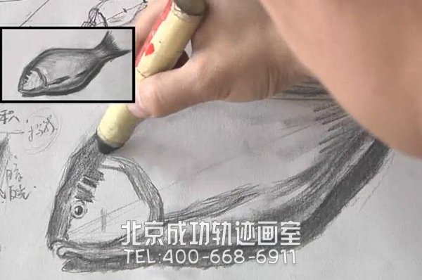 魚素描畫教程