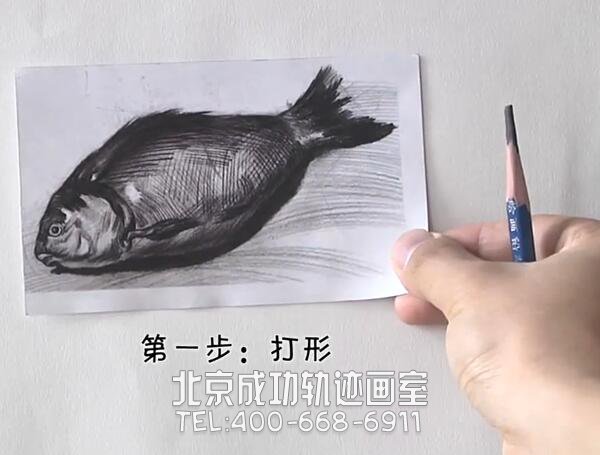 素描怎么畫魚