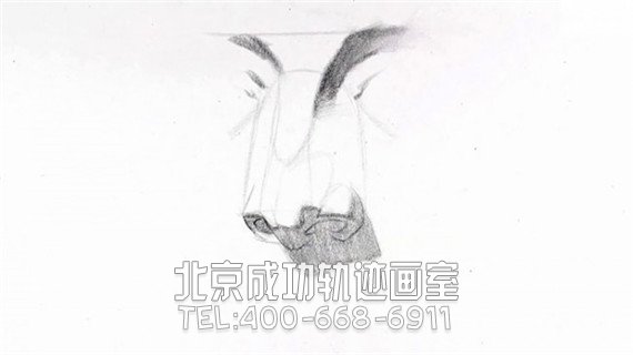 素描鼻子畫法步驟圖片教程