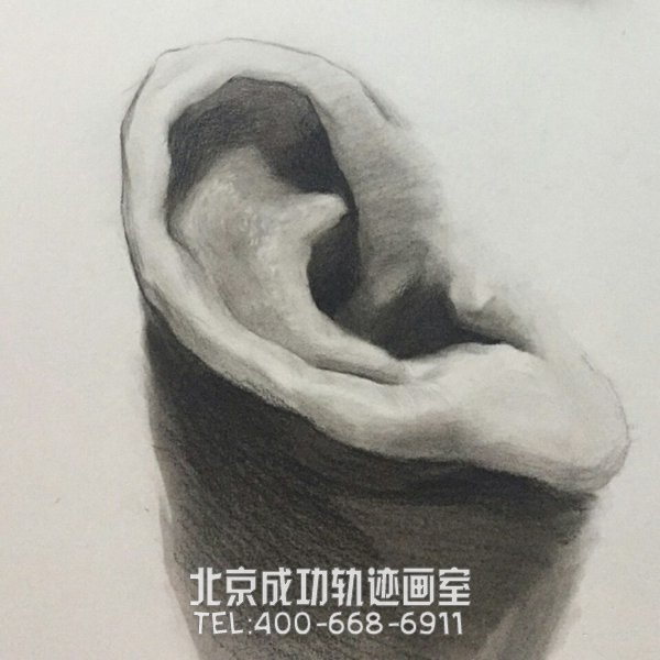 素描耳朵的畫法圖解