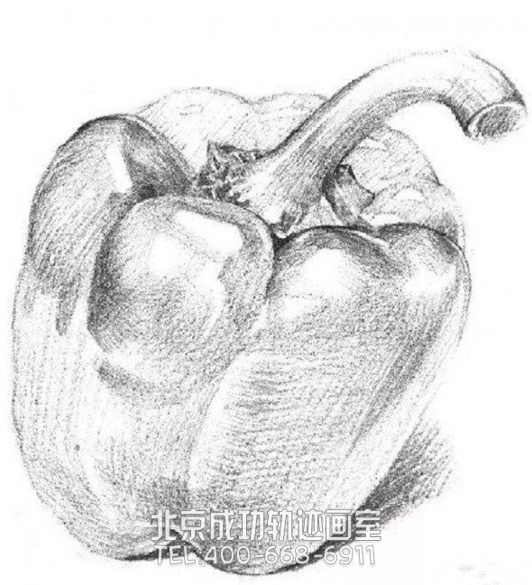 素描入門(mén)：素描青椒的畫(huà)法步驟