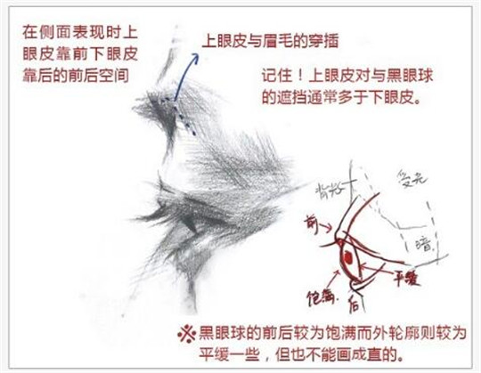 素描入門(mén)：素描眼睛精講教程